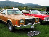 12 (Ford Mercury, Bj. 1979 und Ford Galaxie)